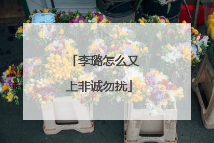 李璐怎么又上非诚勿扰