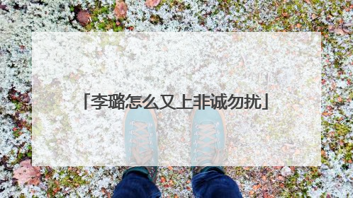 李璐怎么又上非诚勿扰