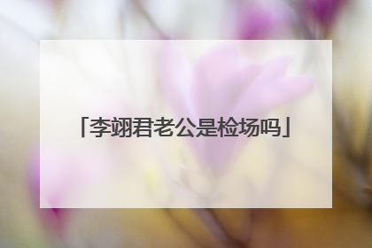 李翊君老公是检场吗