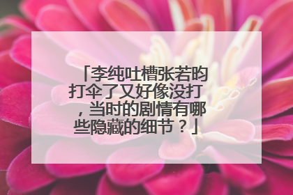 李纯吐槽张若昀打伞了又好像没打，当时的剧情有哪些隐藏的细节？