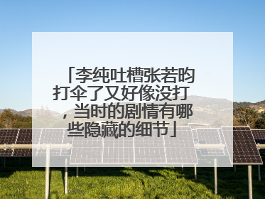 李纯吐槽张若昀打伞了又好像没打，当时的剧情有哪些隐藏的细节