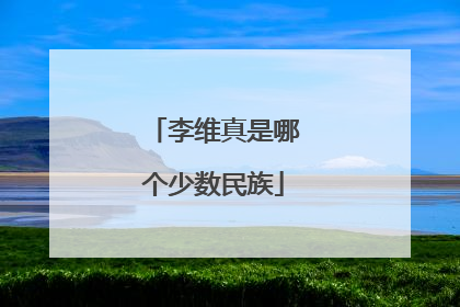 李维真是哪个少数民族