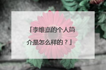 李维嘉的个人简介是怎么样的?