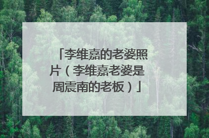 李维嘉的老婆照片（李维嘉老婆是周震南的老板）