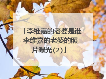 李维嘉的老婆是谁 李维嘉的老婆的照片曝光(2)