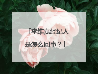 李维嘉经纪人是怎么回事?