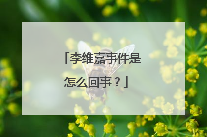 李维嘉事件是怎么回事?