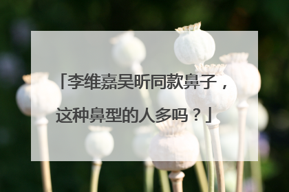 李维嘉吴昕同款鼻子,这种鼻型的人多吗?
