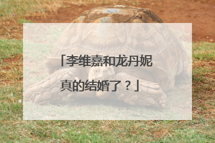 李维嘉和龙丹妮真的结婚了?