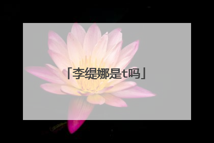 李缇娜是t吗