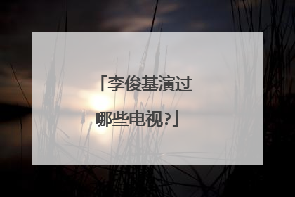 李俊基演过哪些电视?