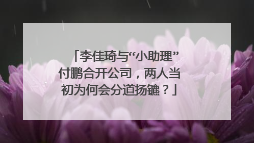 李佳琦与“小助理”付鹏合开公司，两人当初为何会分道扬镳？