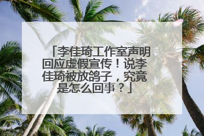 李佳琦工作室声明回应虚假宣传!说李佳琦被放鸽子,究竟是怎么回事?