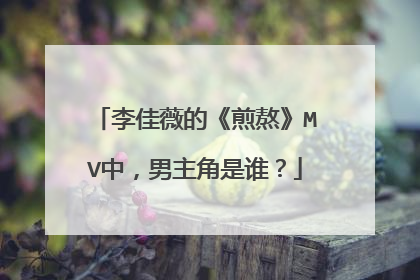 李佳薇的《煎熬》MV中,男主角是谁?