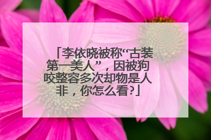 李依晓被称“古装第一美人”,因被狗咬整容多次却物是人非,你怎么看?