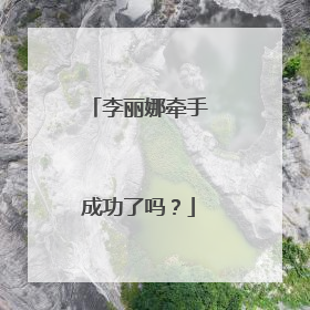 李丽娜牵手成功了吗?
