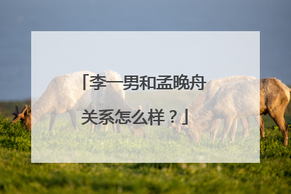 李一男和孟晚舟关系怎么样？