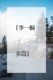 李一桐多高