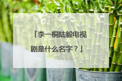 李一桐陆毅电视剧是什么名字?