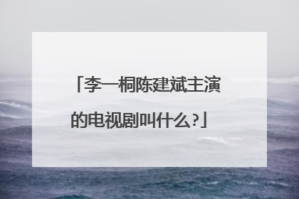 李一桐陈建斌主演的电视剧叫什么?