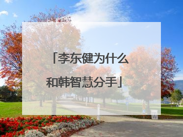 李东健为什么和韩智慧分手