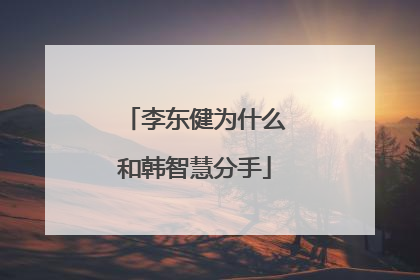 李东健为什么和韩智慧分手