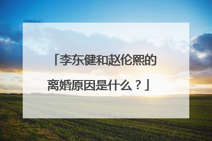 李东健和赵伦熙的离婚原因是什么？