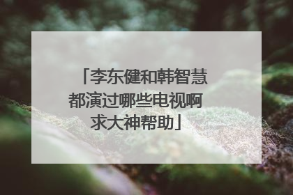 李东健和韩智慧都演过哪些电视啊求大神帮助