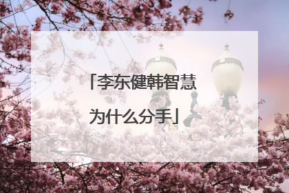 李东健韩智慧为什么分手