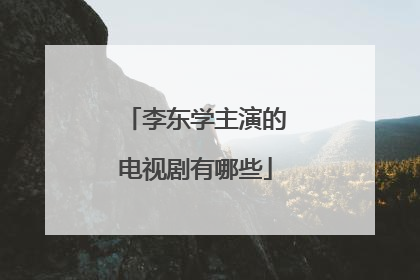 李东学主演的电视剧有哪些