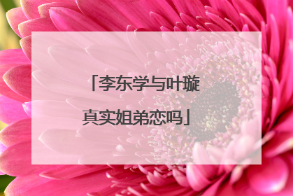 李东学与叶璇真实姐弟恋吗
