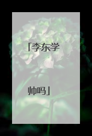李东学帅吗