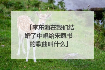 李东海在我们结婚了中唱给宋恩书的歌曲叫什么