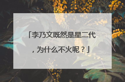 李乃文既然是星二代,为什么不火呢?