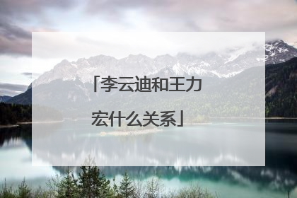 李云迪和王力宏什么关系