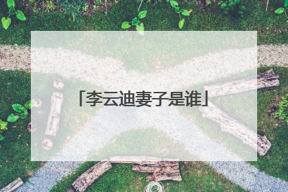 李云迪妻子是谁