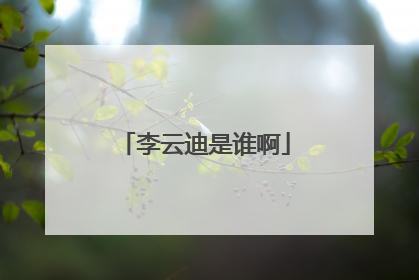 李云迪是谁啊