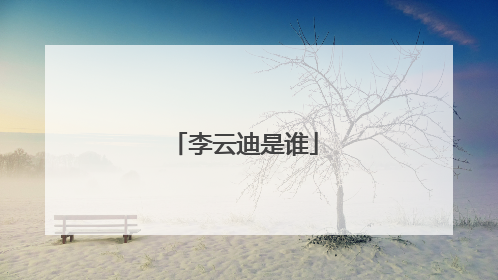 李云迪是谁