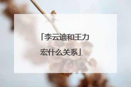 李云迪和王力宏什么关系