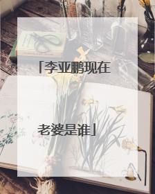 李亚鹏现在老婆是谁