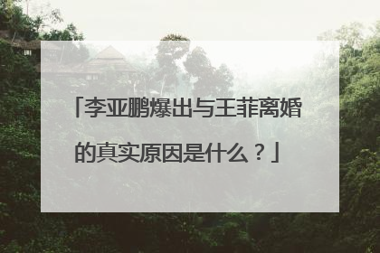 李亚鹏爆出与王菲离婚的真实原因是什么?