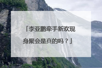 李亚鹏牵手新欢现身聚会是真的吗？