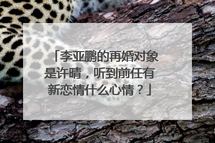 李亚鹏的再婚对象是许晴,听到前任有新恋情什么心情?