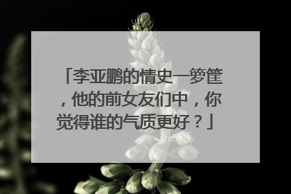 李亚鹏的情史一箩筐，他的前女友们中，你觉得谁的气质更好？