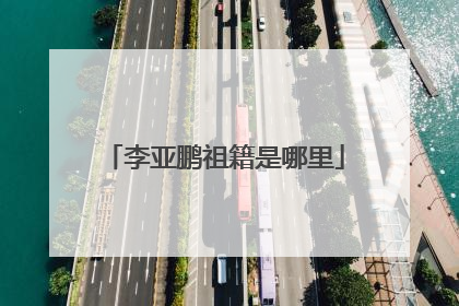 李亚鹏祖籍是哪里