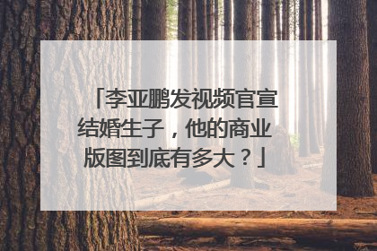 李亚鹏发视频官宣结婚生子，他的商业版图到底有多大？