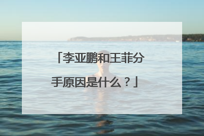 李亚鹏和王菲分手原因是什么？