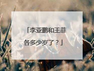 李亚鹏和王菲各多少岁了？