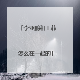 李亚鹏和王菲怎么在一起的