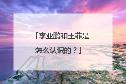 李亚鹏和王菲是怎么认识的？